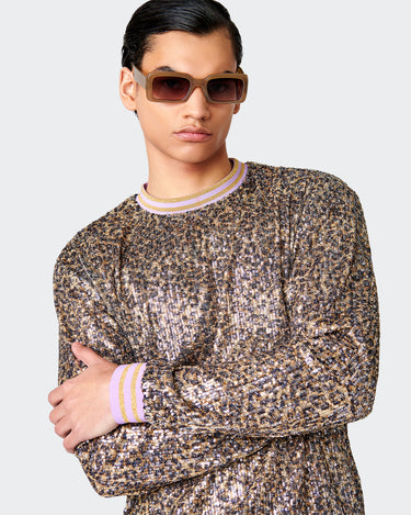 Jayden Sequin Sweater