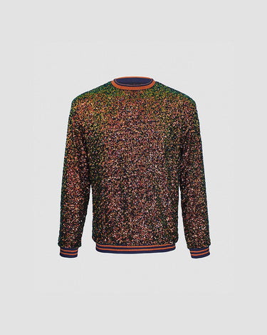 Destiny Sequin Sweater